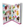 GoodsNet MY FIRST BOARD BOOK ALL IN ONE ENGLISH - HINDI BOOK FOR KINDS (English - Hindi Hardcover)