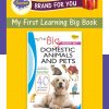 My First Learning Big Book of Domestic Animals & Pets | Educational Book by Sawan