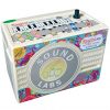 Sound Labs Raagini Digital, Electronic Tanpura