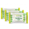 BodyGuard Disinfectant Sanitizing Wipes, Alcohol Free – 30 Wipes (Pack of 3)