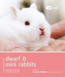 Dwarf Rabbit – Pet Friendly