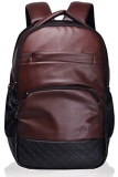 F Gear Luxur Brown 23 Liter Laptop Backpack (2404)