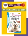 My First Learning Big Book of Domestic Animals & Pets | Educational Book by Sawan